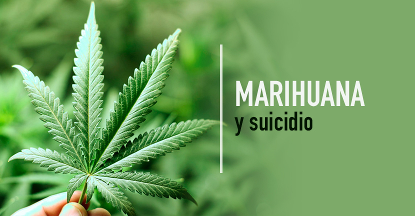 imagen del artículo Marihuana y suicidio